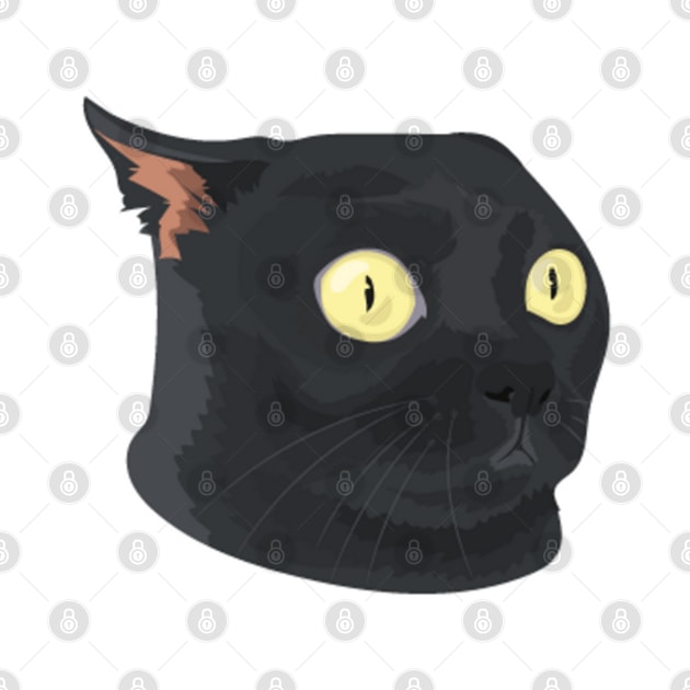 Black cat surprised by DesignArtsShop