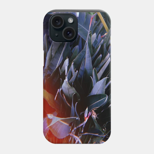 Birds Of Paradise Flowers. California Phone Case by SoCalDreamin