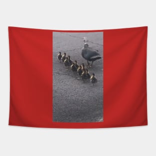 Lovely ducks Tapestry