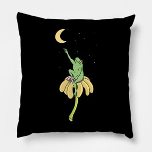 Frog and Moon Pillow