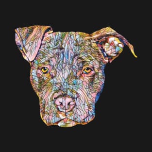 American Pit Bull T-Shirt