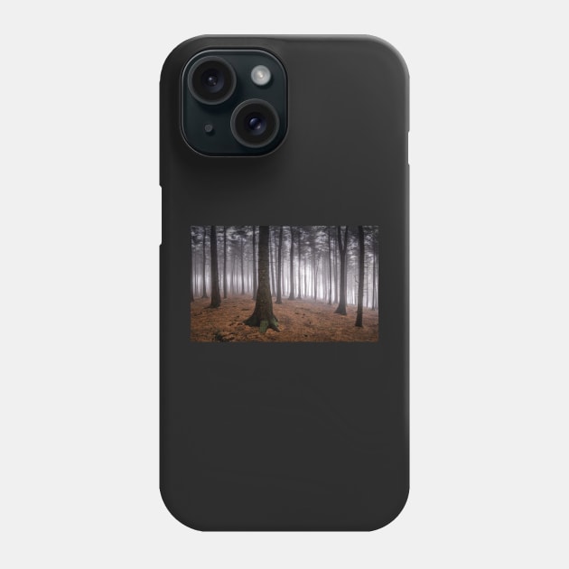 Misty Forest Phone Case by TonyNorth