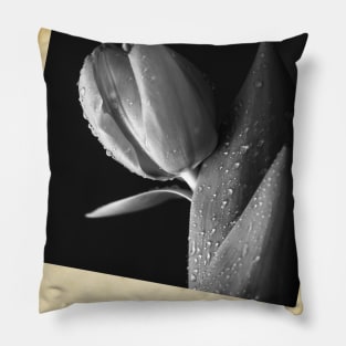 Tulip Photo Pillow