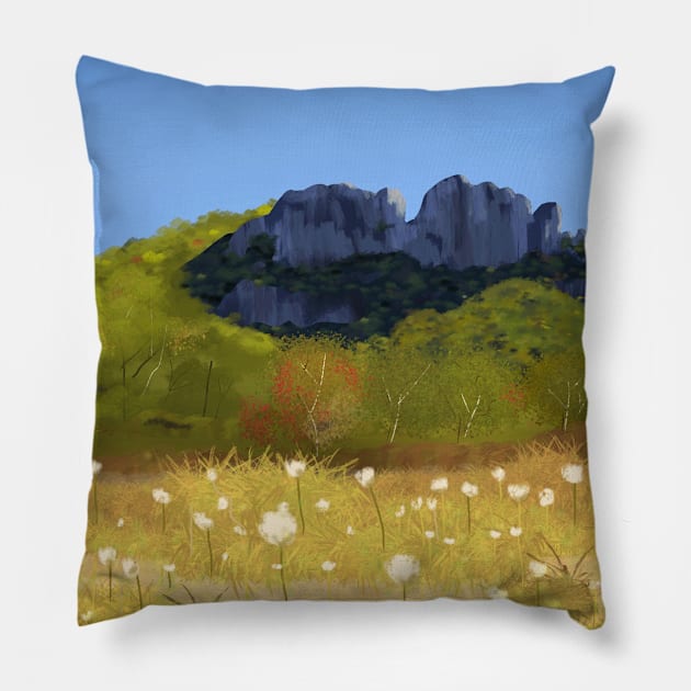 Seneca Rocks Portait Pillow by PenCoWV