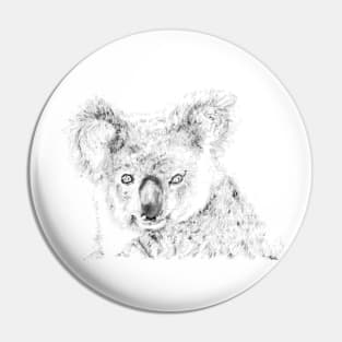 Koala appreciation portrait Pin