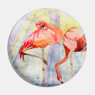 Flamingos in the sunshine Pin