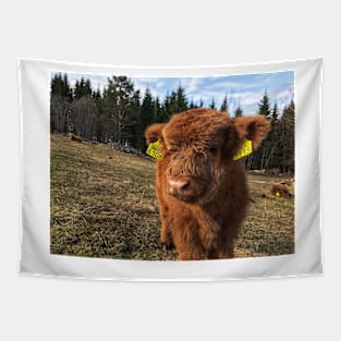 Scottish Highland Cattle Calf 1751 Tapestry