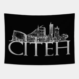 Manchester Citeh Tapestry