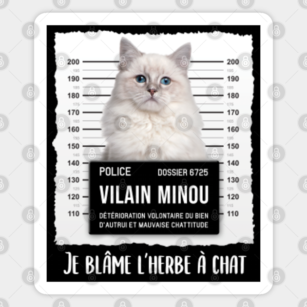 Cadeau Humoristique Pour Proprietaires De Chat Ragdoll Ragdoll Magnet Teepublic