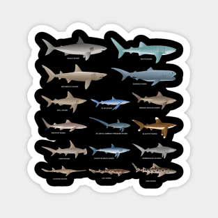 Marine Biologist Biology Sharks Fathers Day Gift Funny Retro Vintage Magnet