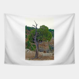 Grand Canyon Tree Study 4 Tapestry