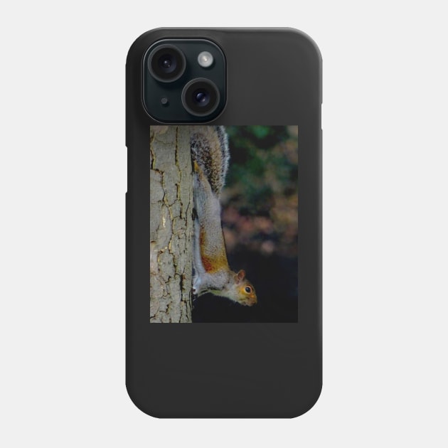 GONE NUTS FOR SQUIRREL YOGA ! Phone Case by dumbodancer