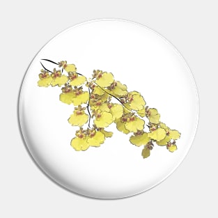 A branch of yellow orchids Pin