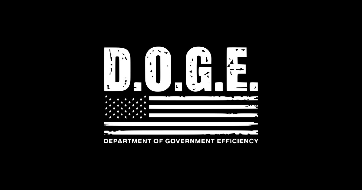 Doge-Department-Of-Government-Efficiency-Us-Flag - Doge Department Of ...