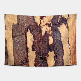 Wood Forest Nature Tapestry