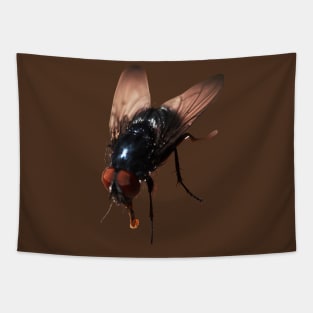 Pretty Giant Fly for Insect Lovers Tapestry