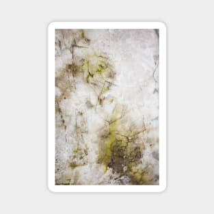 Moss on concrete texture Magnet