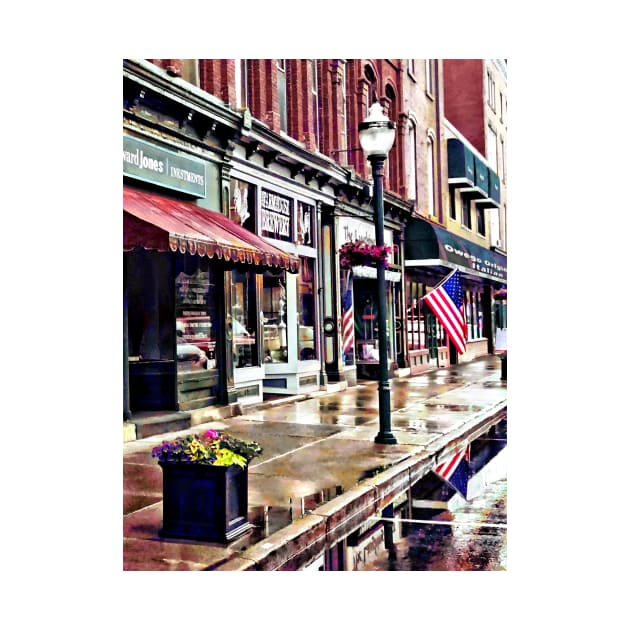 Owego NY - American Flag and Reflections by SusanSavad