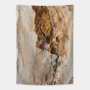 Rock beach stone Tapestry