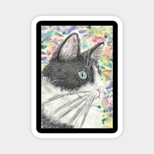 Cute cat face colorful painting Magnet