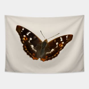 Butterfly Tapestry