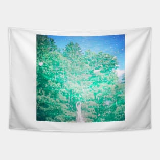 lomo vaporwave SIREN Tapestry