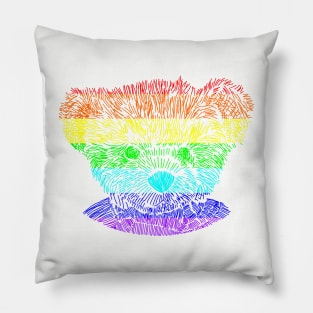 Rainbow Teddy Bear Pillow