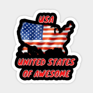 United States of Awesome 4th of July Flag Magnet