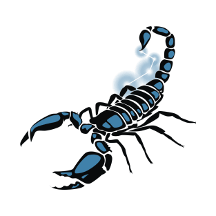 Scorpion Illustration T-Shirt
