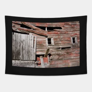 Barn windows Tapestry