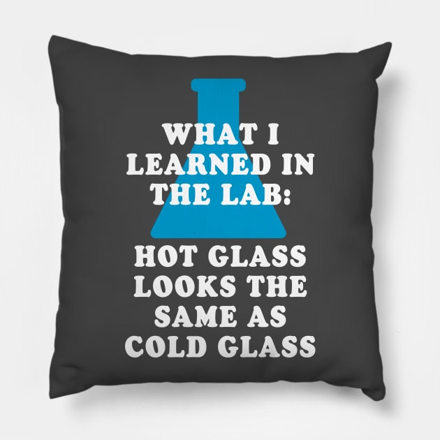 Chemistry Glass Humor Pillow by oddmatter