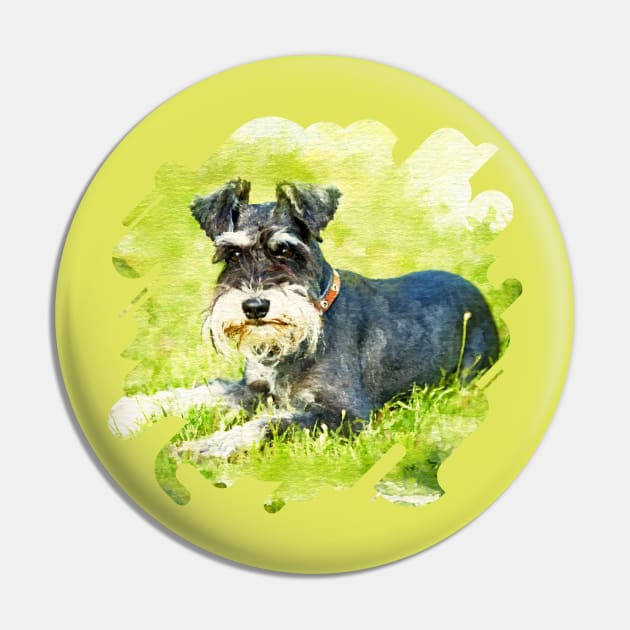 Miniature Schnauzer Pin by Nartissima