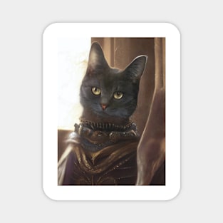 Mystic Mage cat: Frodo Magnet