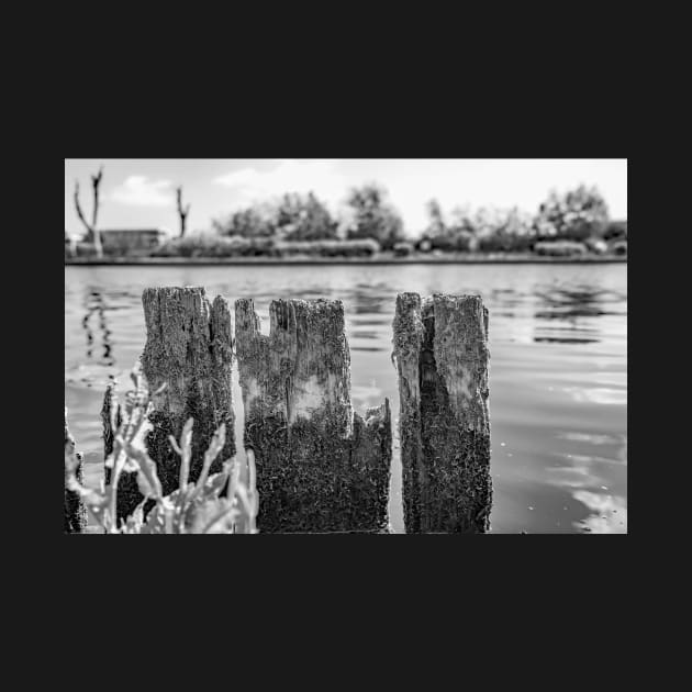 Wooden mooring posts, River Bure, Horning by yackers1