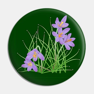 Crocus Flowers on Dark Green Pin