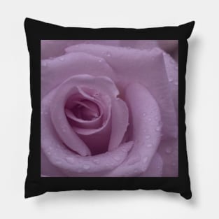 Pink Rose Close Up Pillow