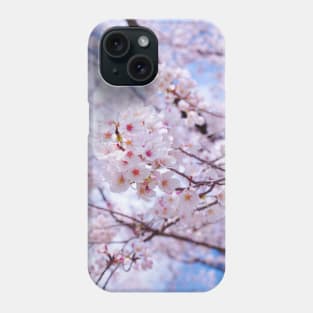 SCENERY 35 - White Blooming Flower Blue Sky Phone Case