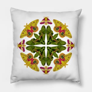 Moth Mandala Pillow