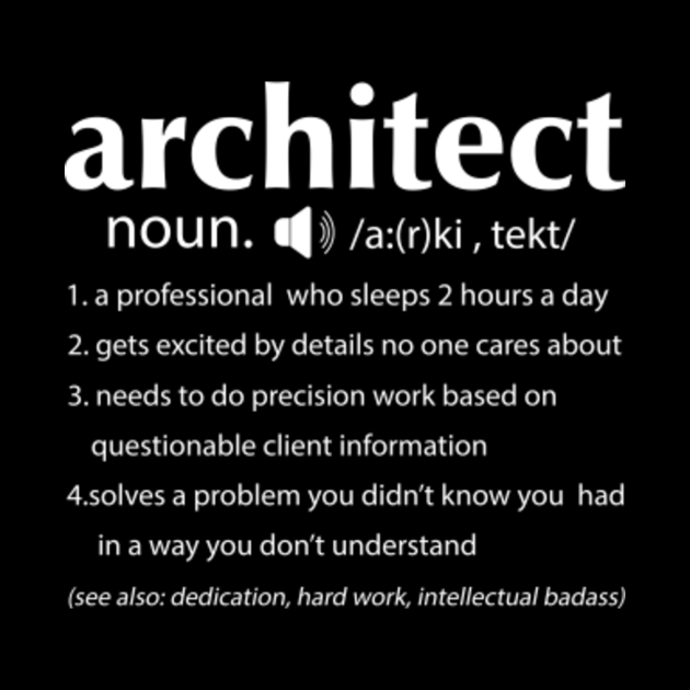 server architect definition