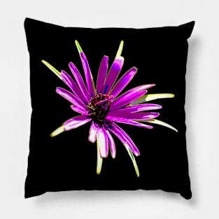 Purple Flower - Wild Salsify - Art Pillow