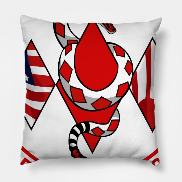 VFA-102 Diamondbacks - Super Hornet Pillow by MBK