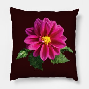 Daisies - Magenta Gerbera Daisy Pillow