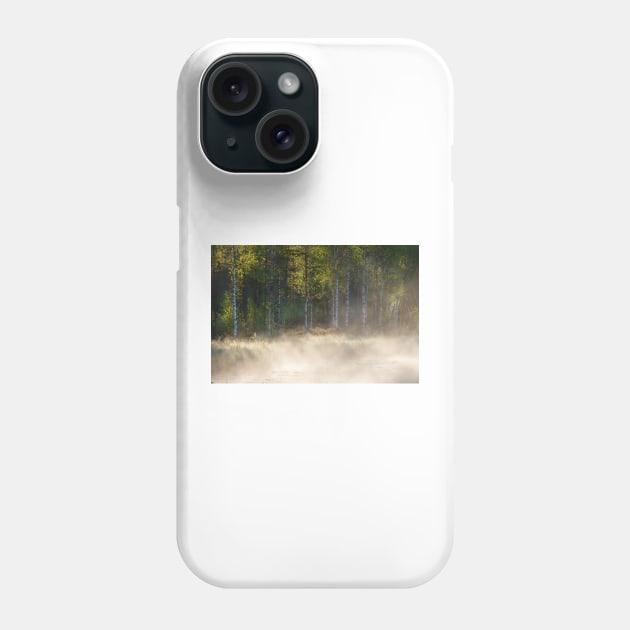 Small forest pond at sunrise Phone Case by Juhku