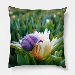 Snail Having Breakfast in Californian Yellow Flower Photo V1 Pillow