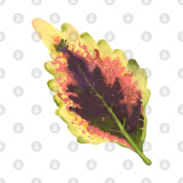 Coleus Pinata Leaf by Khotekmei