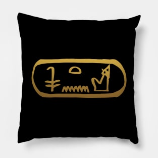 King in Ancient Egyptian Hieroglyphics. Pillow