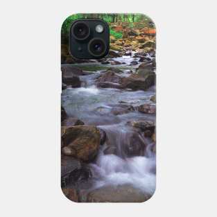 Mountain Stream Phone Case