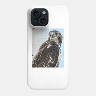 Red Tailed Hawk Phone Case