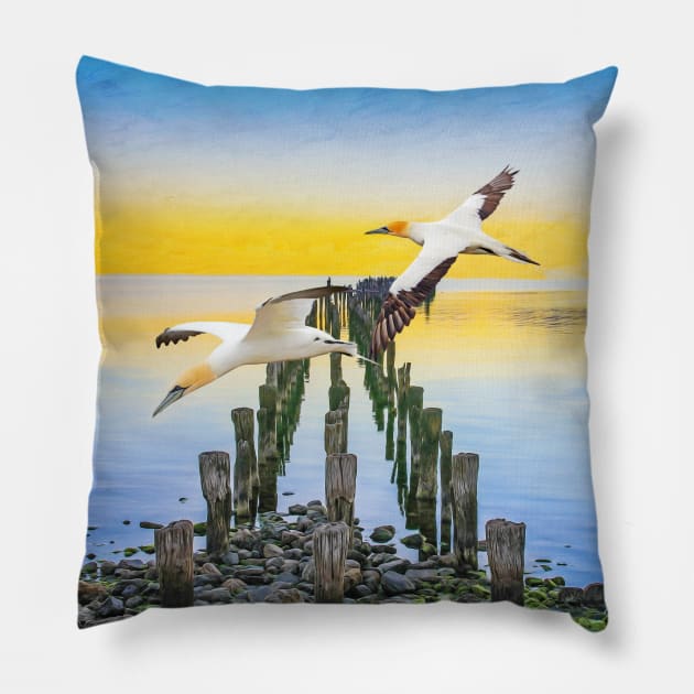 Northern Gannets in Flight Pillow by lauradyoung