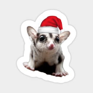 Sugar Glider Magnet